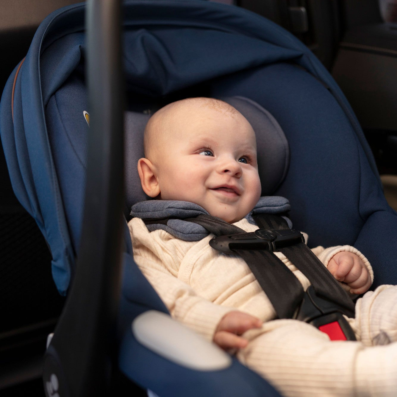 maxi cosi sticker Maxi-Cosi Mico Luxe Infant Car Seat – Modern Natural Baby
