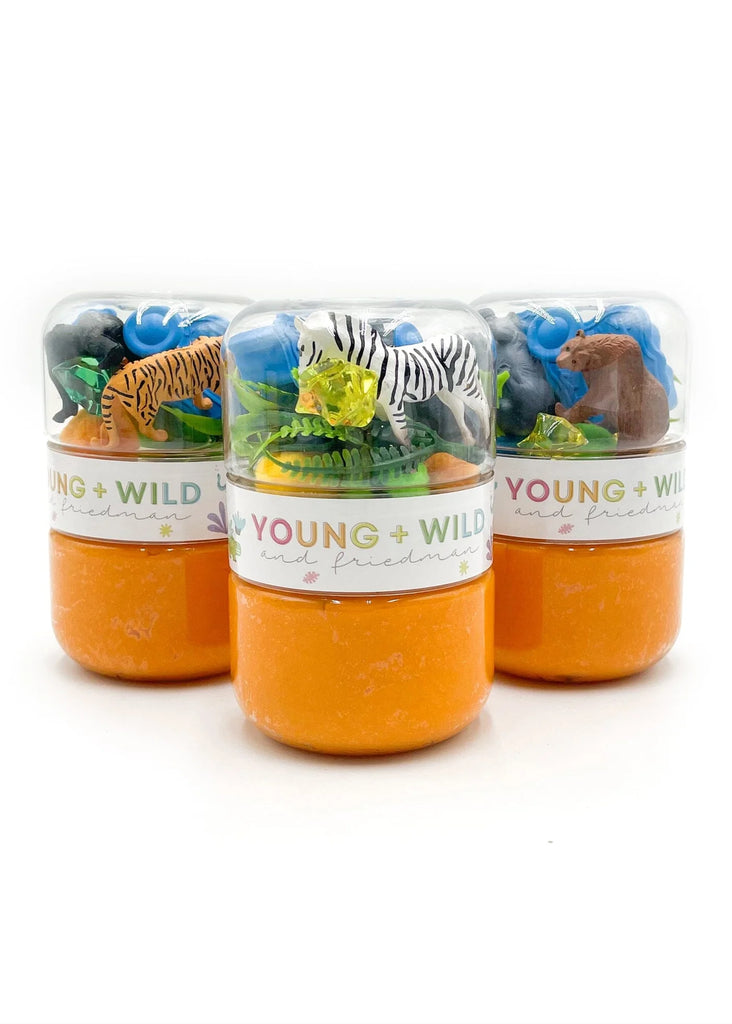Young + Wild and Friedman Grab & Go Dough Jar | Zoo – Modern Natural Baby
