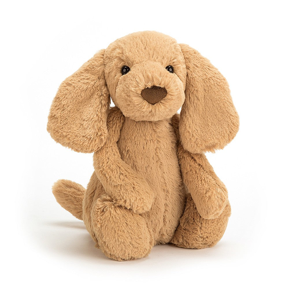 Jellycat Bashful Toffee Puppy | Medium *LIMIT 1* – Modern Natural Baby